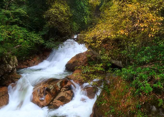 Needle Creek