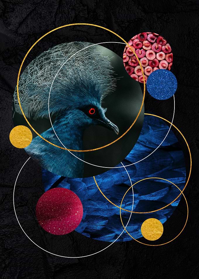 Circles geometry