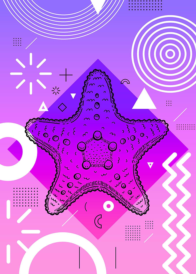 Memphis Starfish
