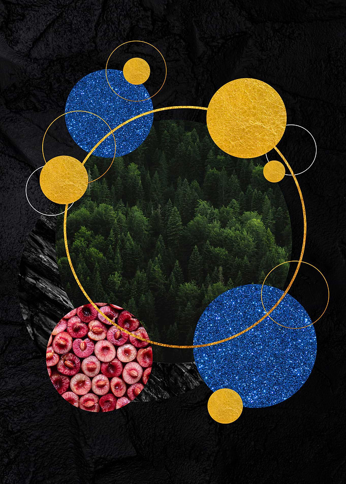 Circles Geometry
