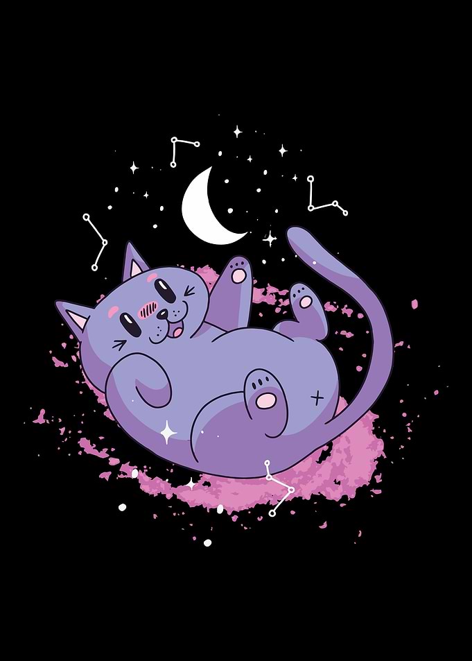 Cuddle cat