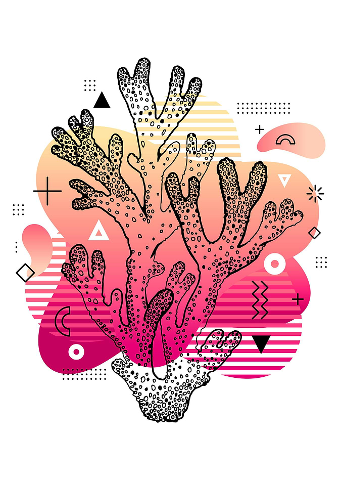 Memphis Coral