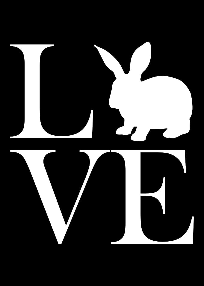 Bunnies love