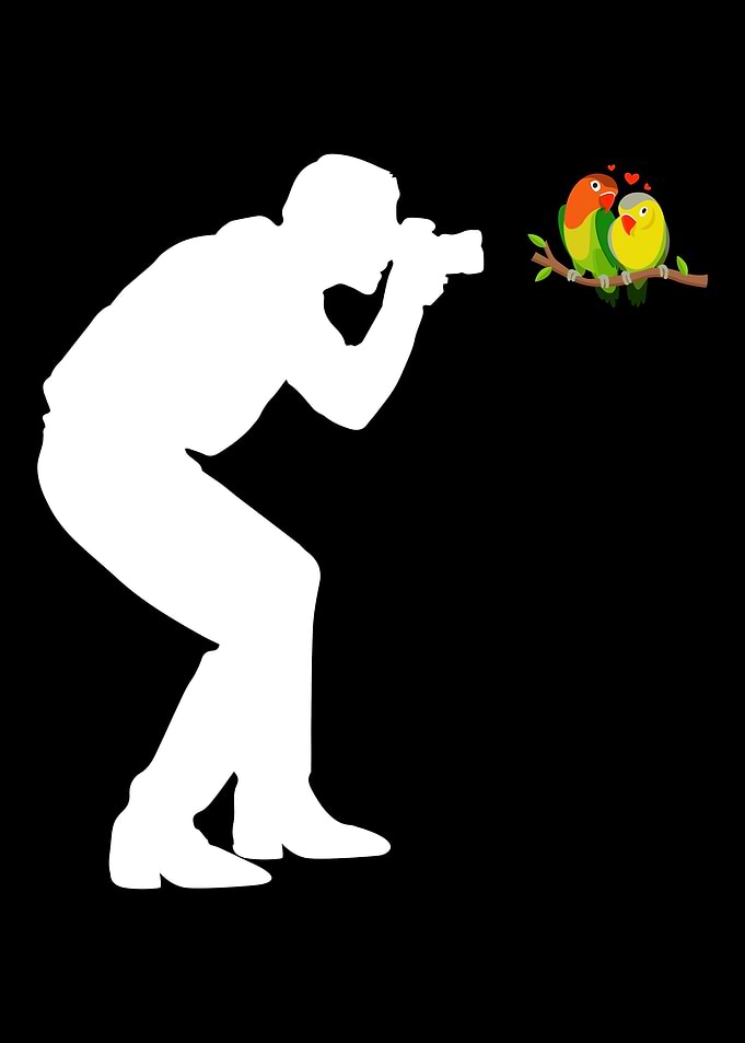 Bird Photographer