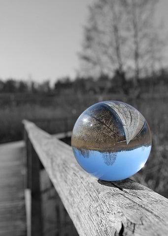 Lensball tree black white