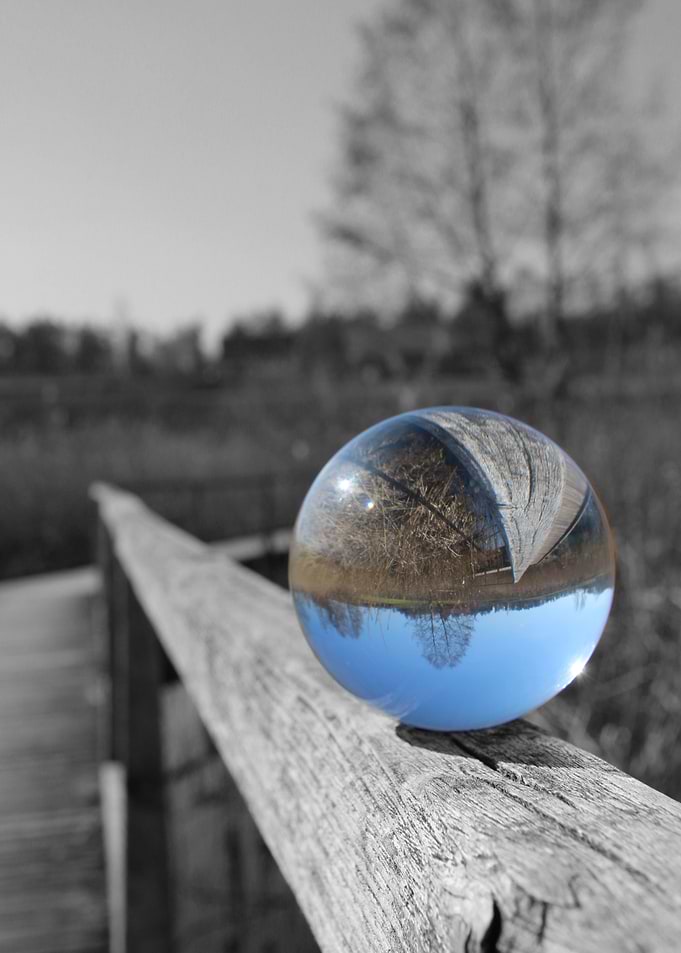 Lensball tree black white