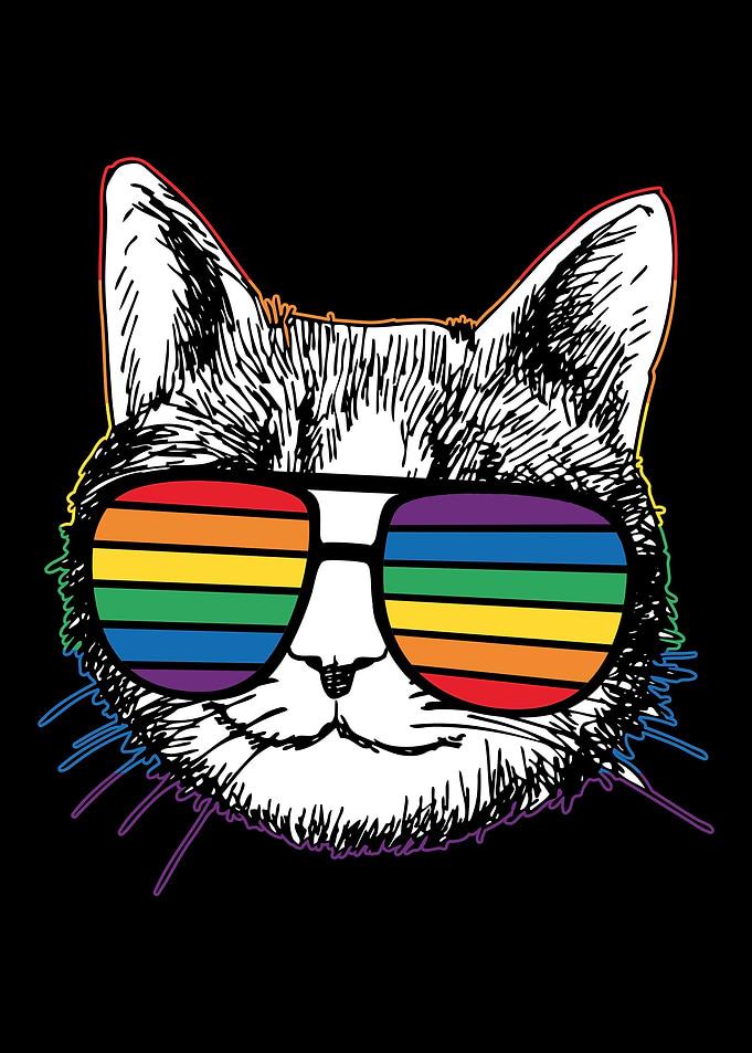 LGBT Cat Sunglasses