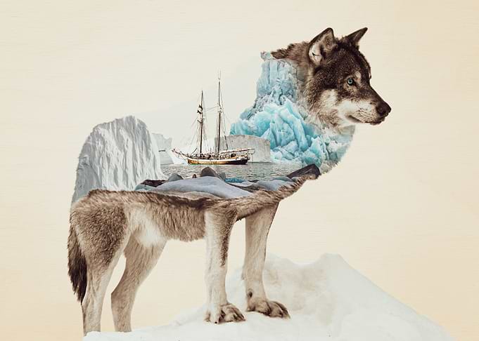 The Wolf and Yawl