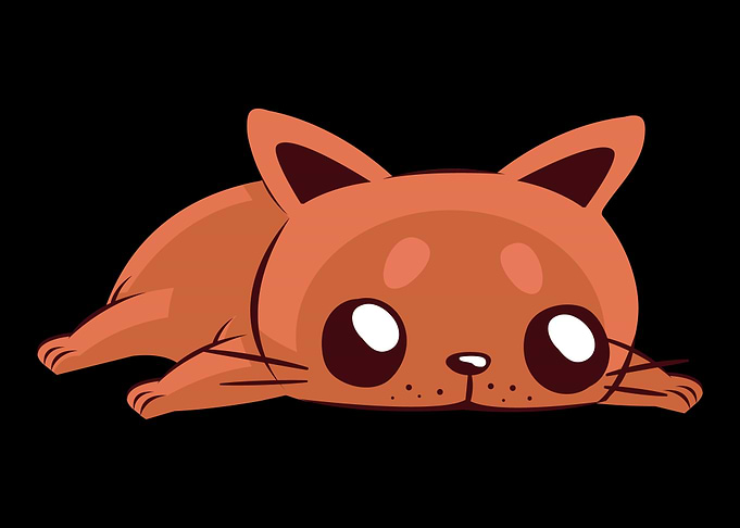 Kitten