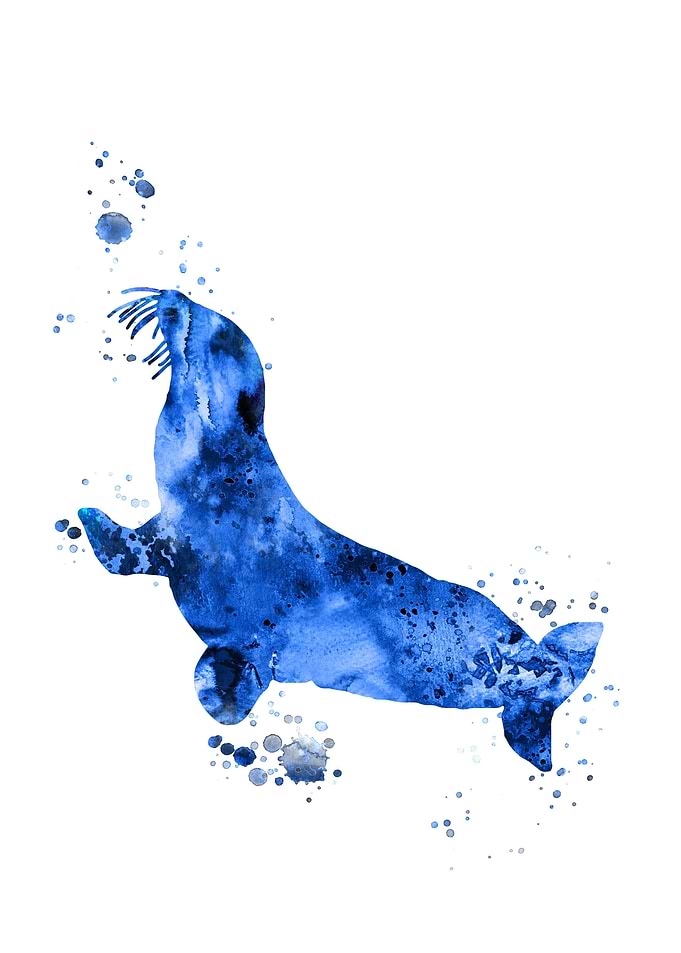 Sea lion