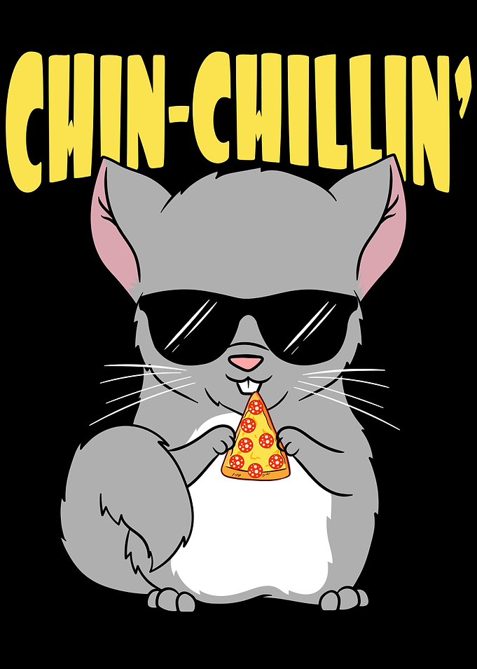 Chinchilla Funny Relaxing
