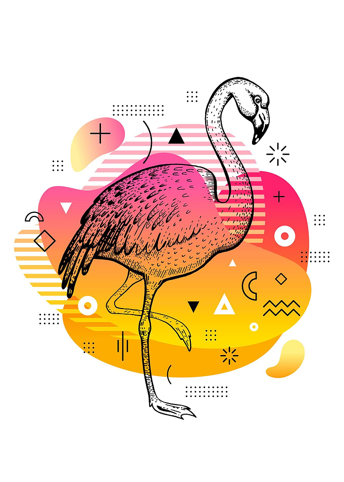 Memphis Flamingo