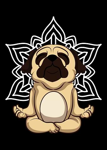 Namaste Dog Yoga