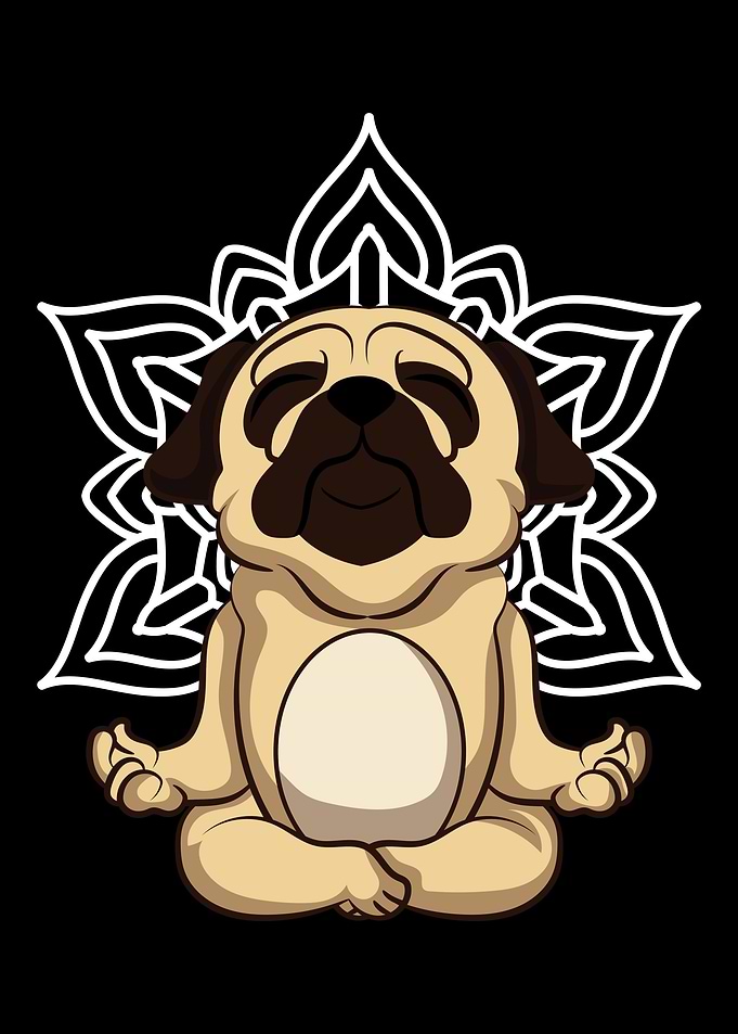 Namaste Dog Yoga