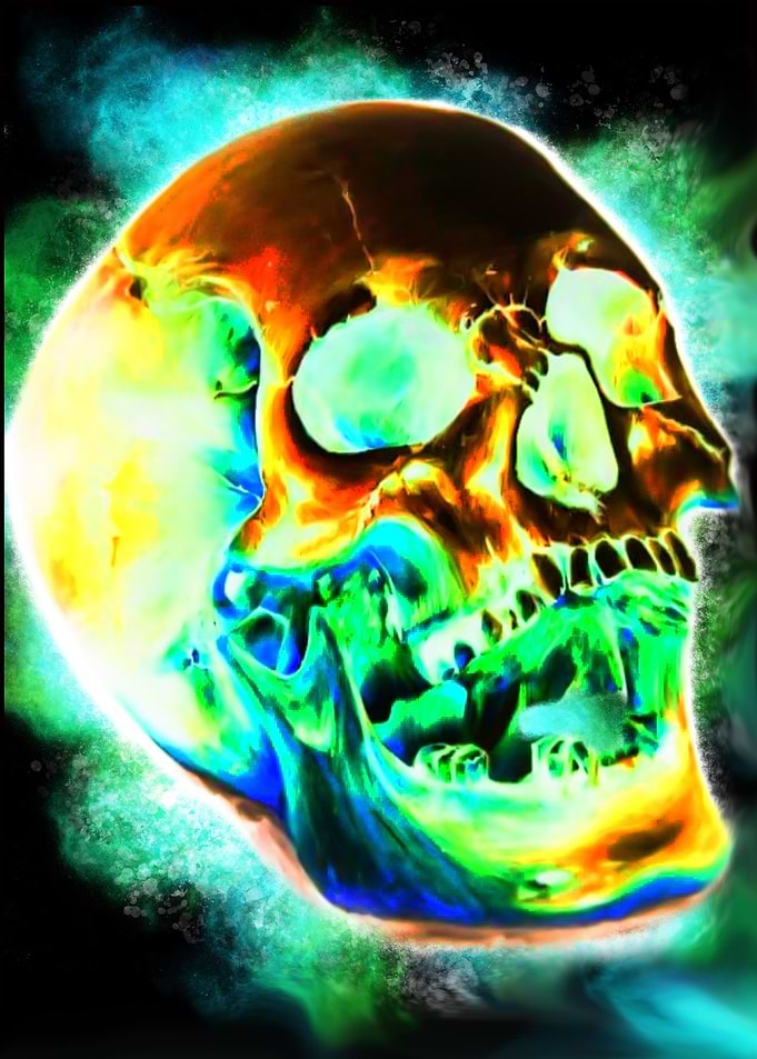 Fear Skull Biro Pen Art