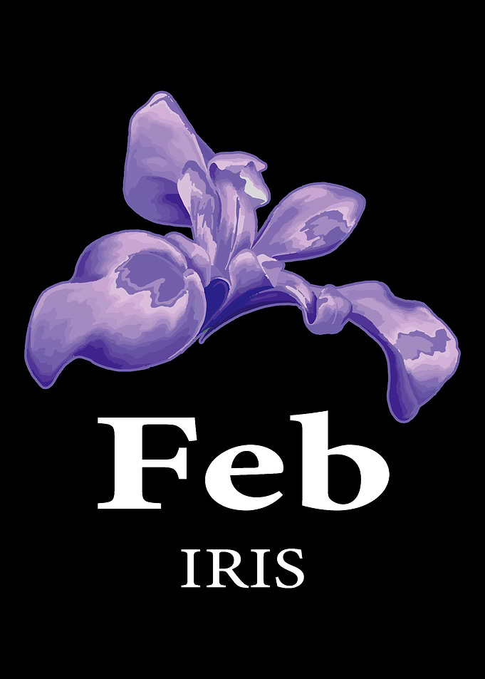 February Iris Aquarius And