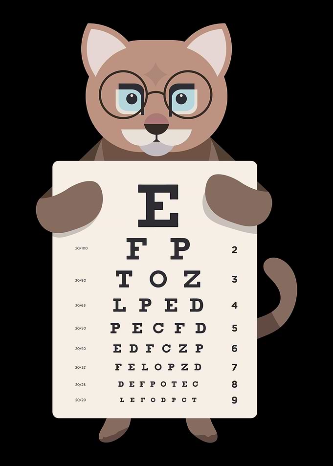 Cat glasses