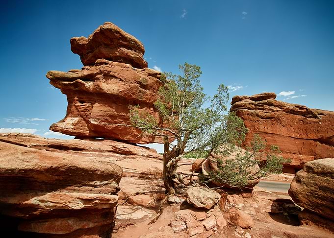 The Garden of the Gods