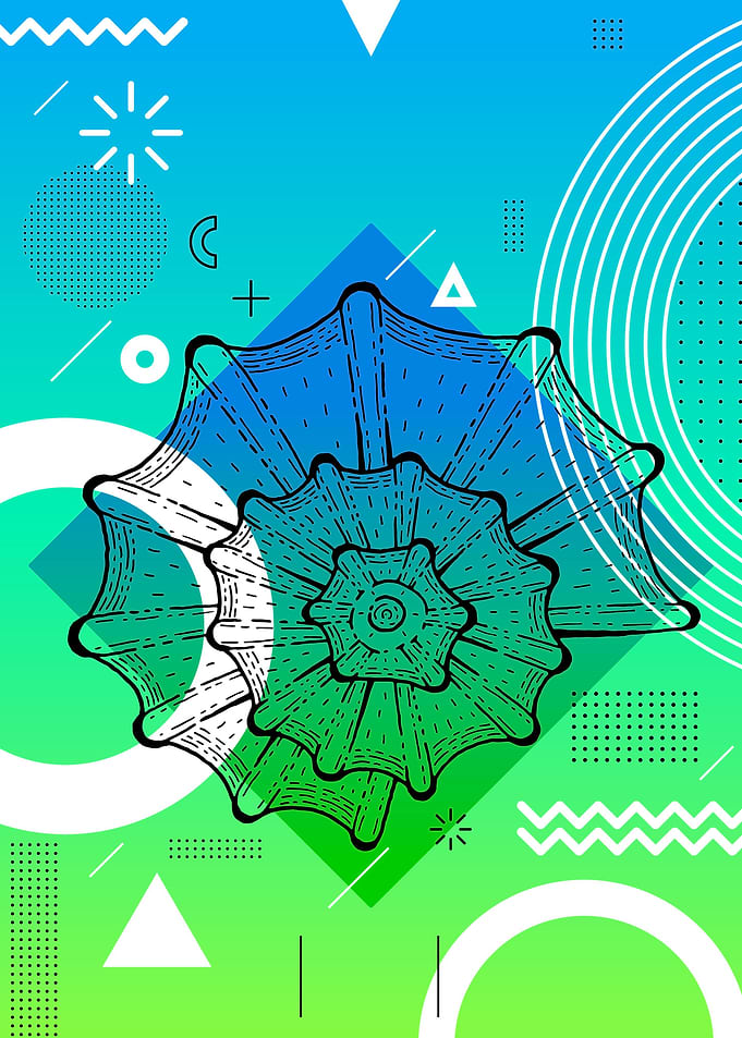 Memphis Seashell