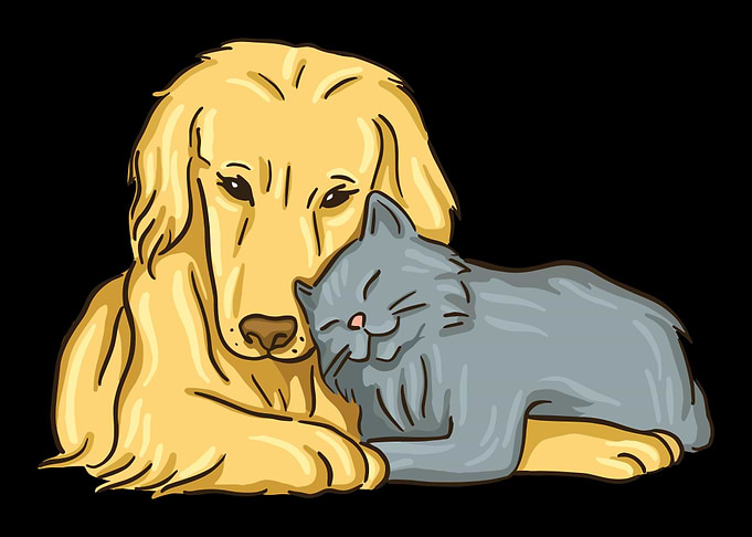 dog Cat