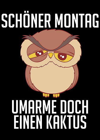 Funny Monday Hug Owl