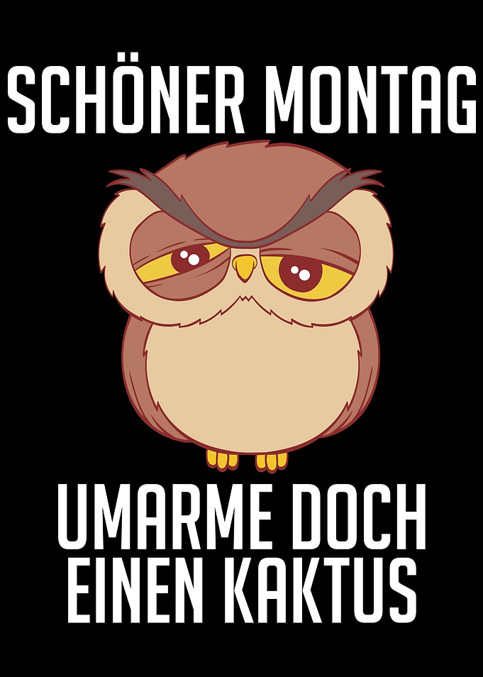 Funny Monday Hug Owl