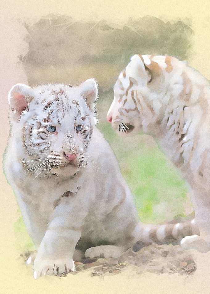 White Prince