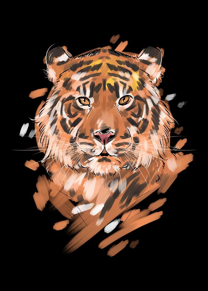 Tiger Big Cats Portrait