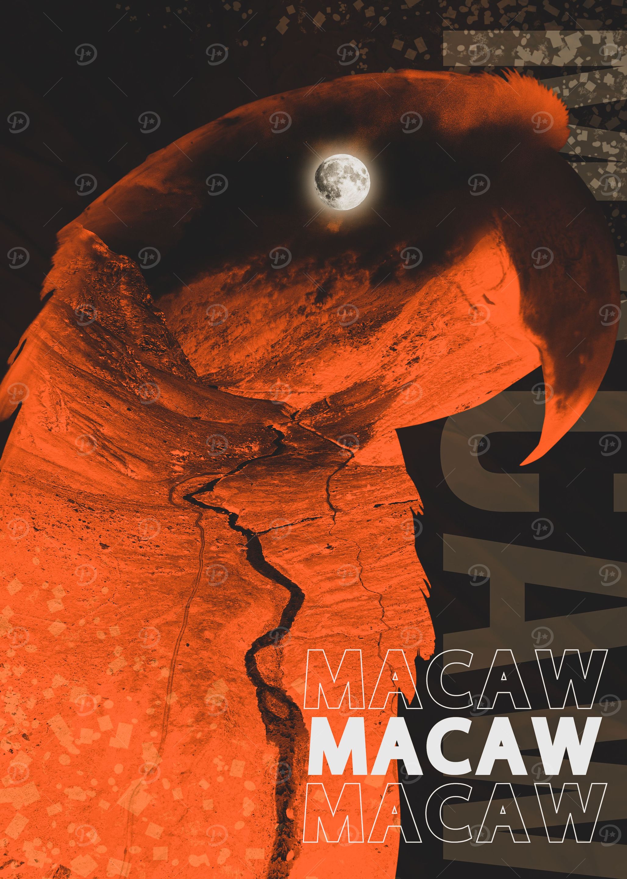 Macaw