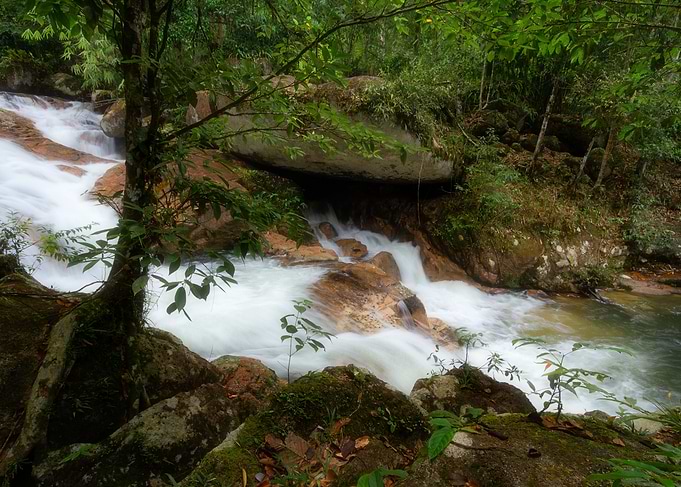 Flow Of Life