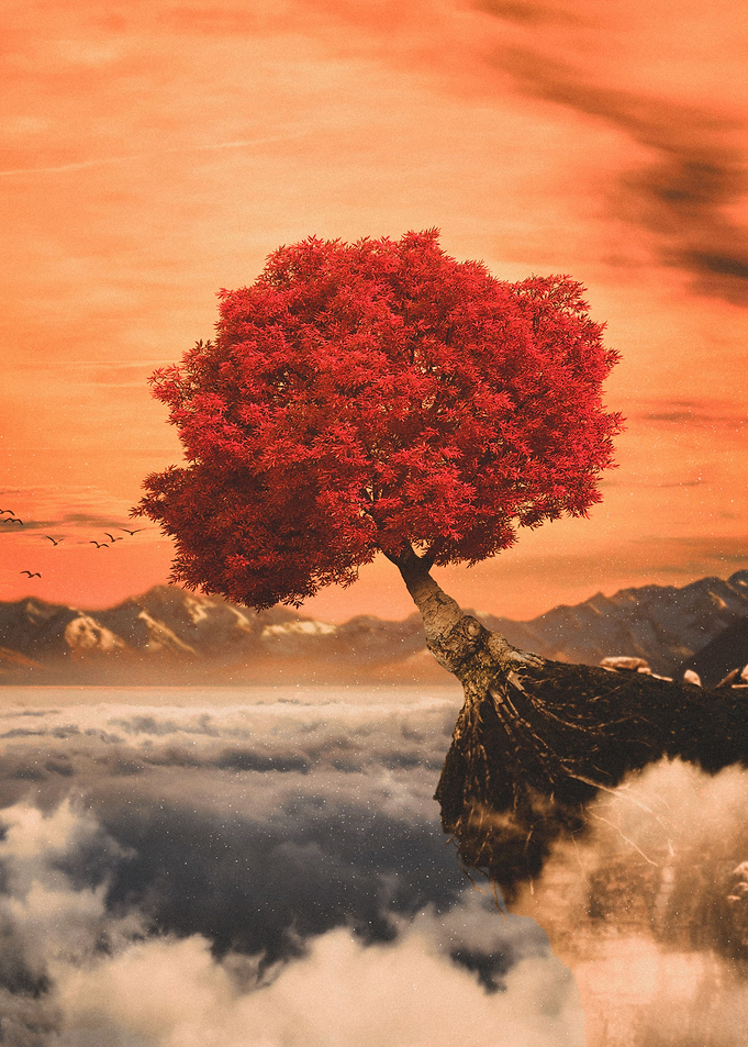 Red skies