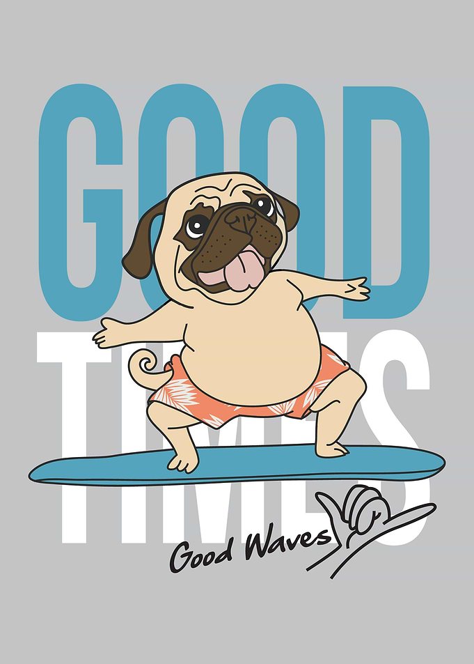 Funny Pug Dog Surfing