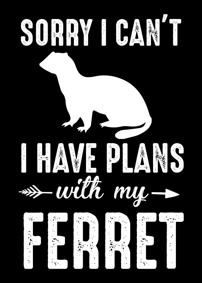 Ferret