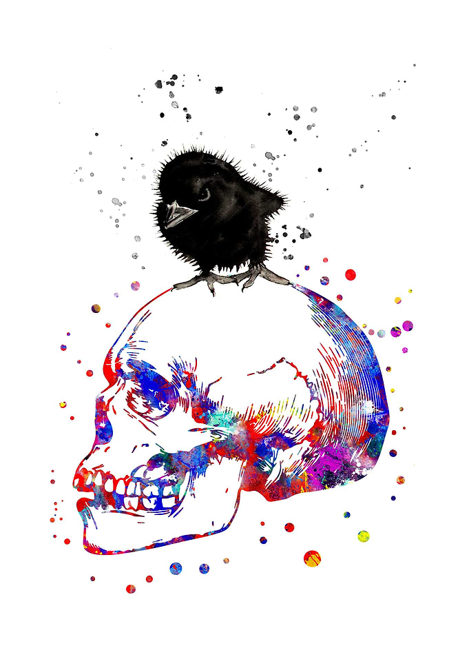 Raven on a skull
