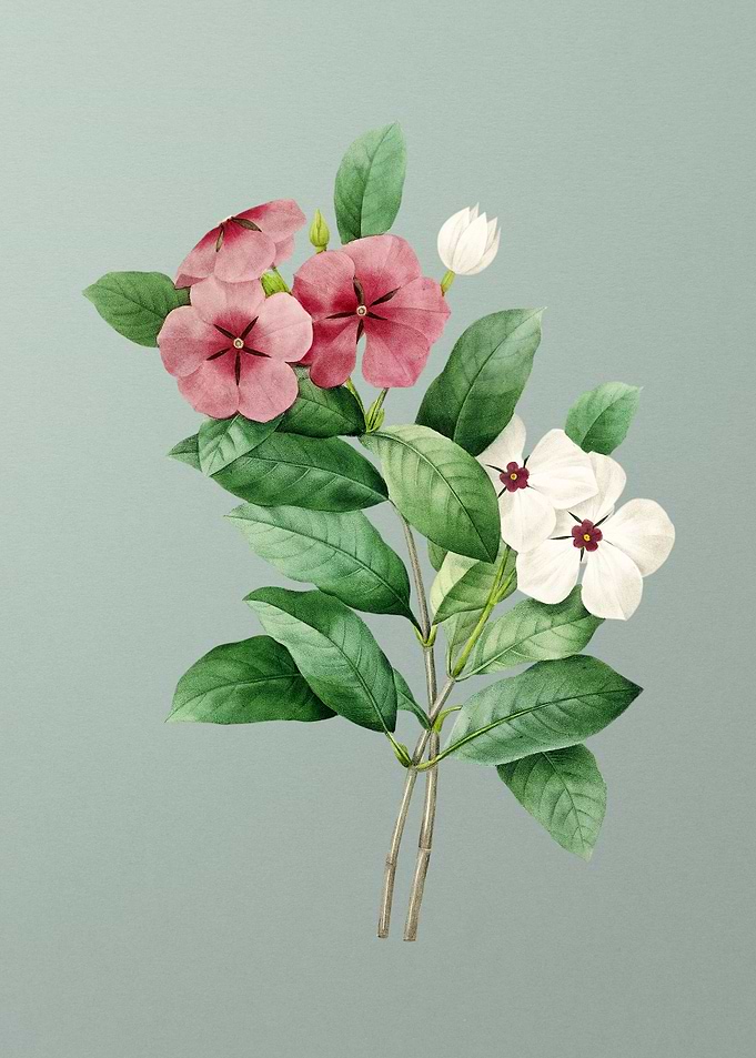 Periwinkle on Mint Green