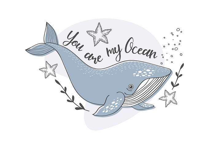 Cute whale you are dream