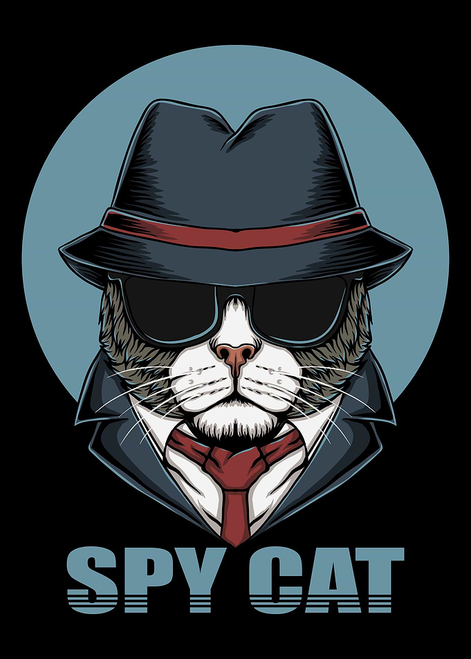 Funny Spy Cat in a hat
