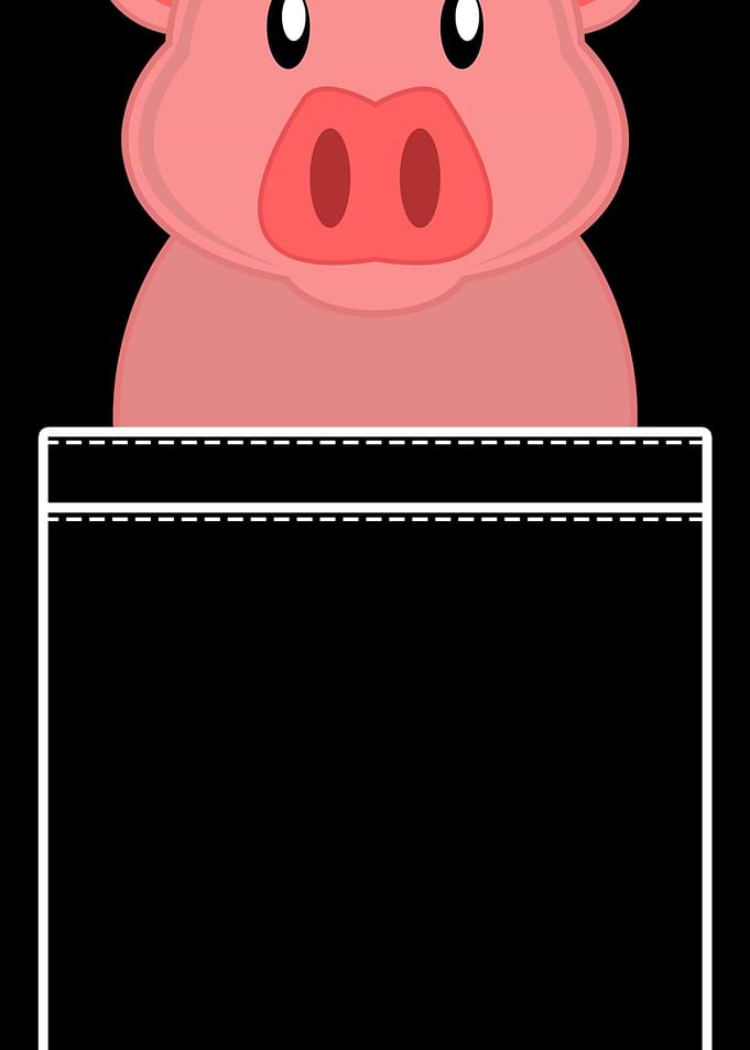 Pig Pocket