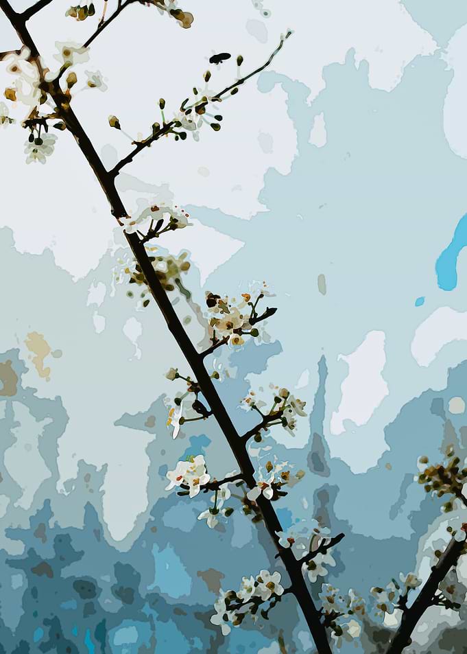 Flower Illustration