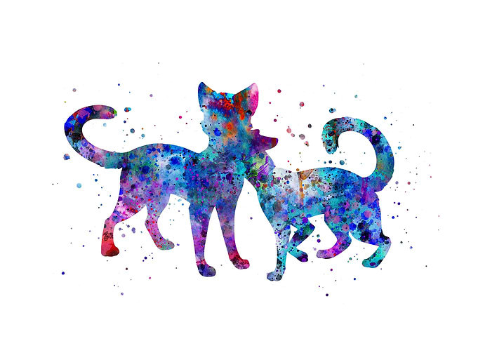 Cat in love