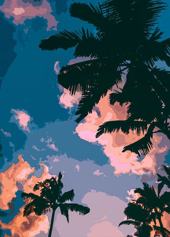 Sky with Coconut Tree