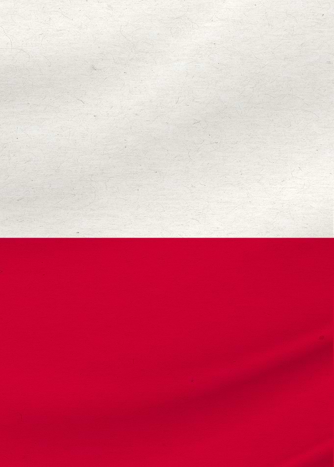 Texas Flag 3 of 3