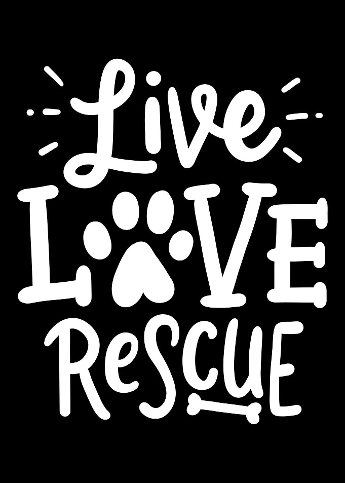 Rescue Dog Adoption