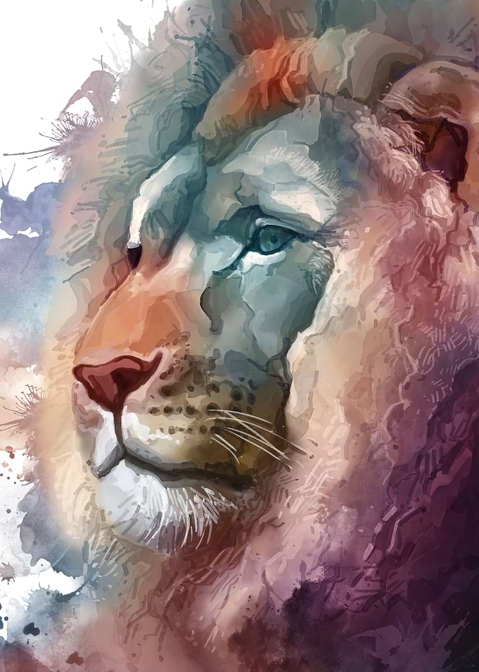 lion portrait 2