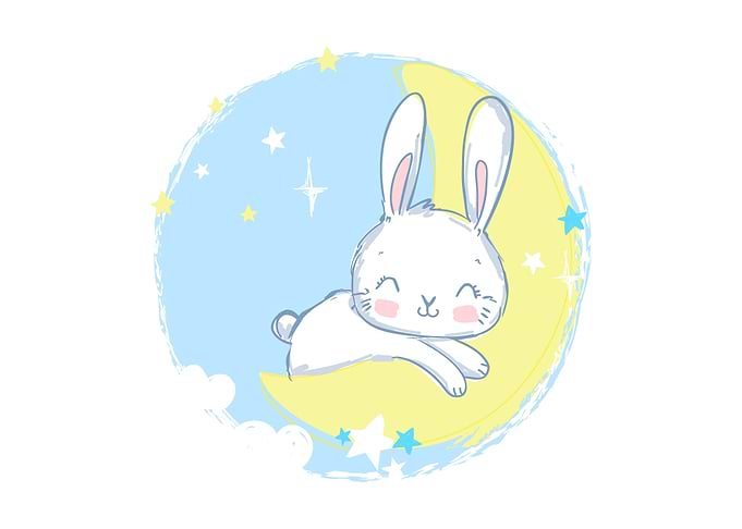 Cute Rabbit