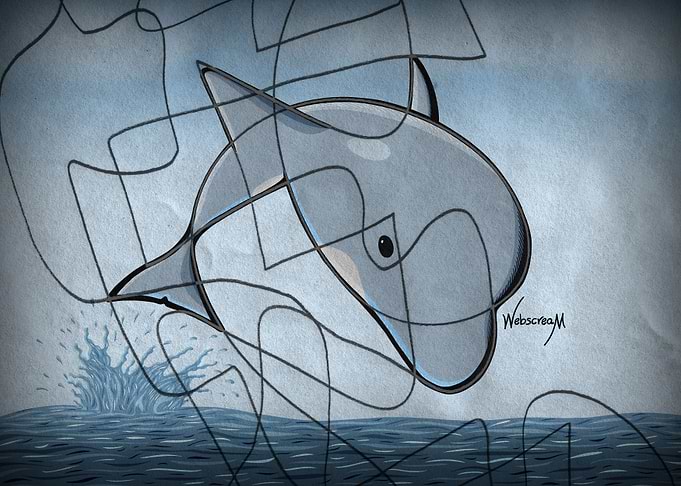 The Dolphin
