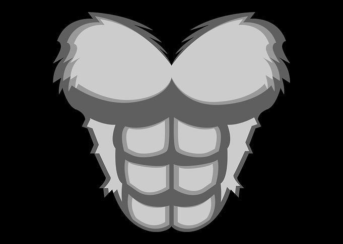 Gorilla Chest Cosplayer Or