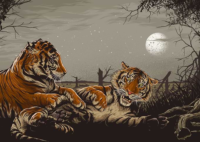 Tiger IV