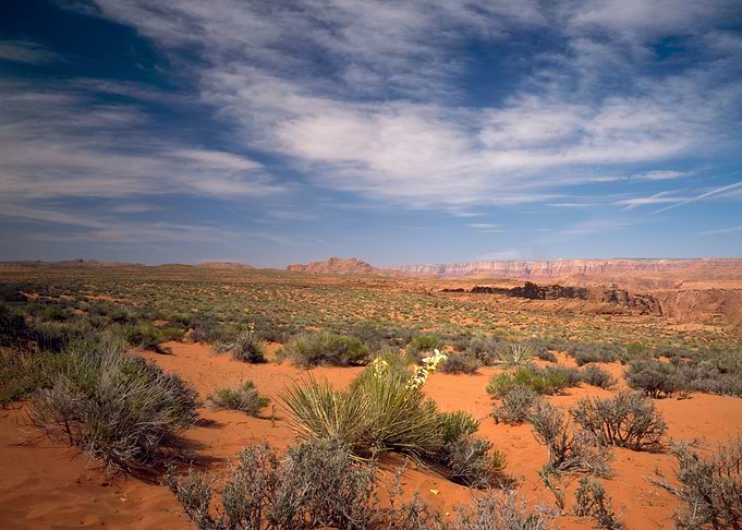 Arizona desert