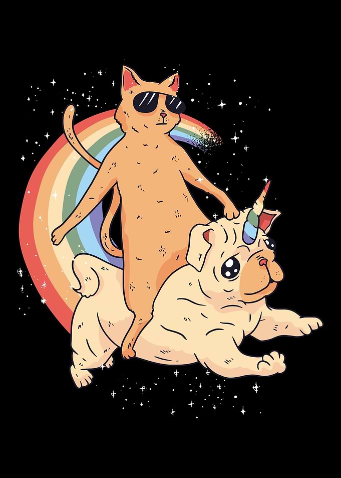Cool cat